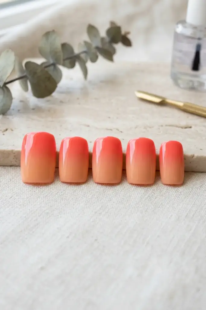 Coral Reef Transition